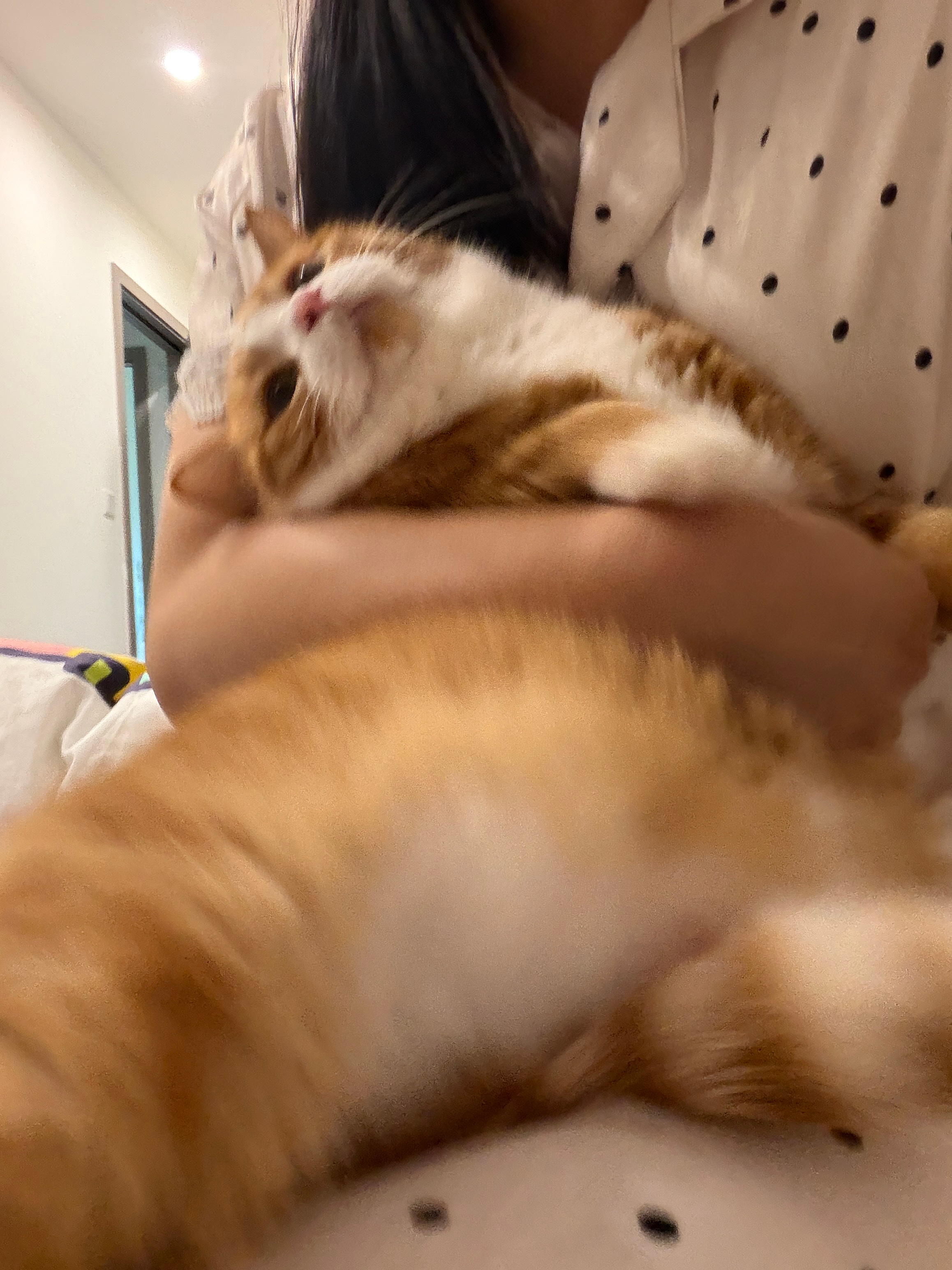 你是泥鳅啊！！！咪包奇