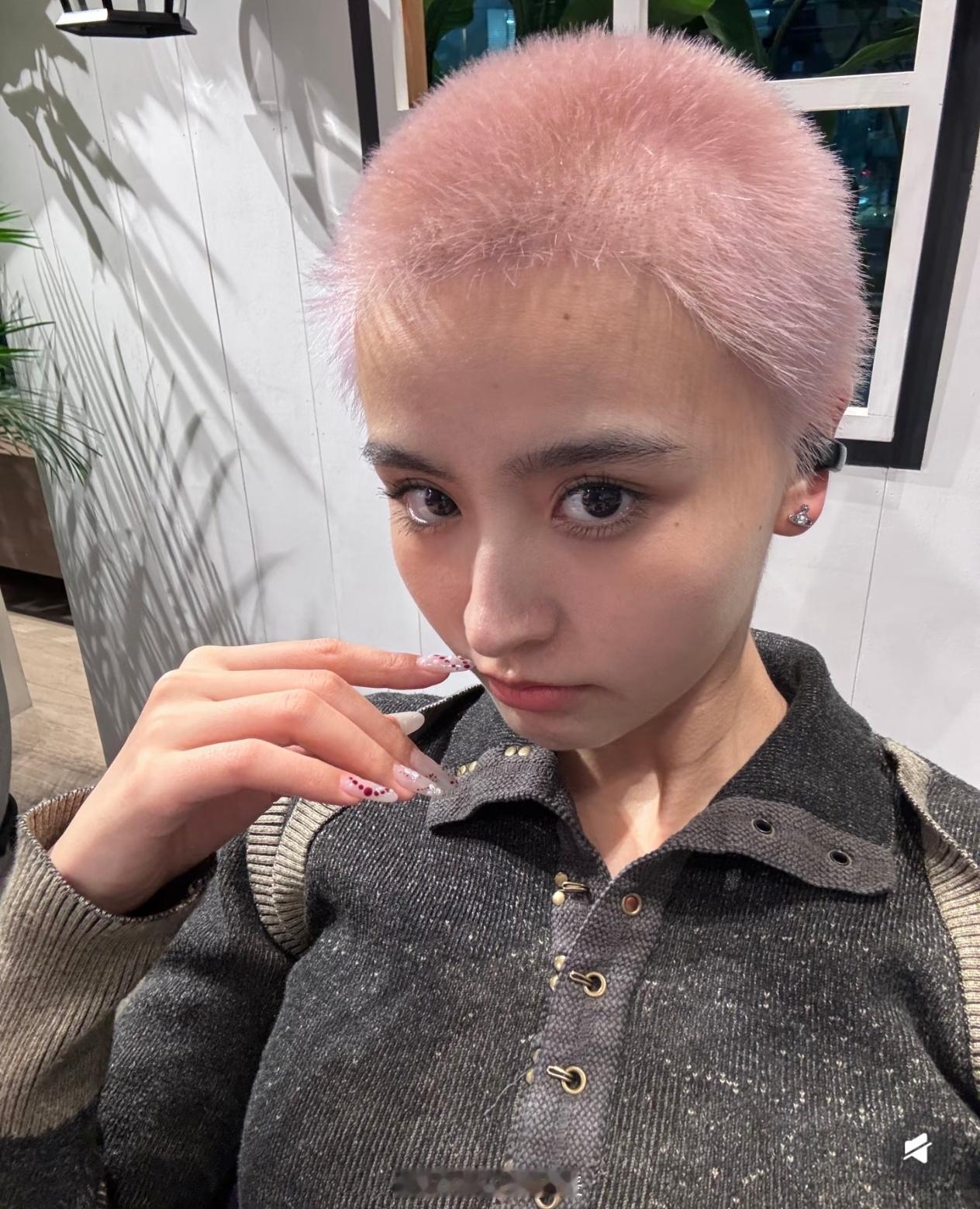 金子涵粉发寸头金子涵染粉发了 金子涵染粉发了，粉毛寸头好酷 ​​​