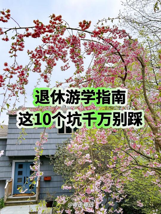 退休海外游学注意10大坑 防骗防坑实用攻略
