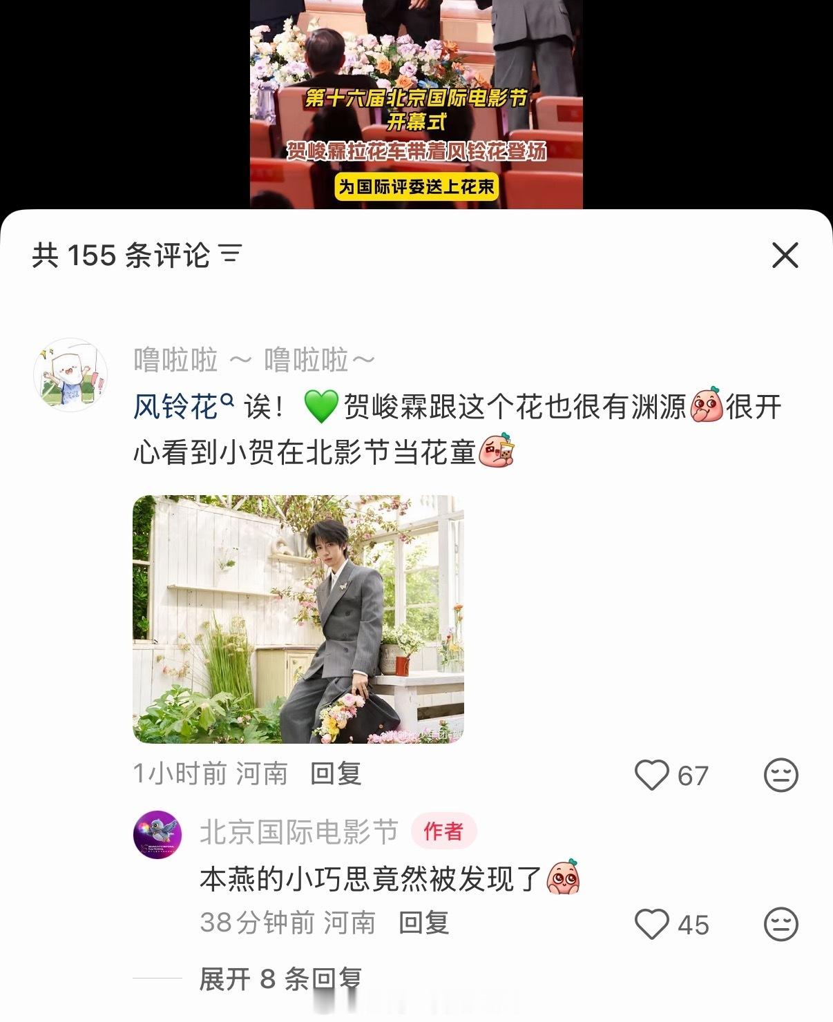 北影节也太宠这个贺峻霖了吧，原来风铃花是特地给他准备的，当然小贺也值得 