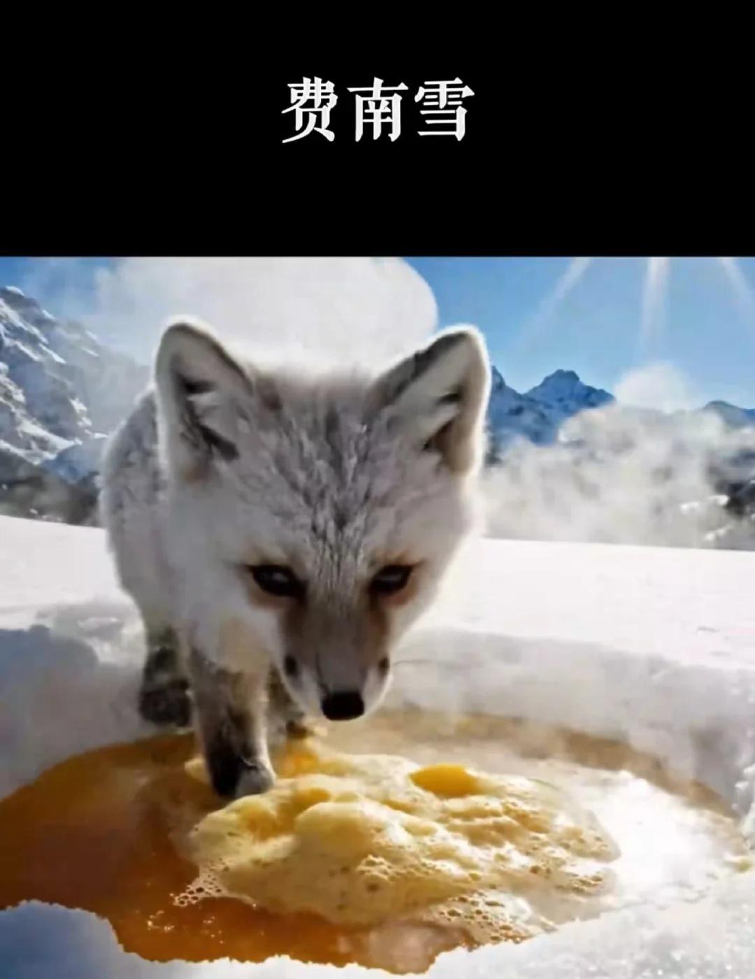 如果雪坑能变出食物，你希望它是
只要撒下玻璃珠，就能变出你最想吃的！	脑洞创意：