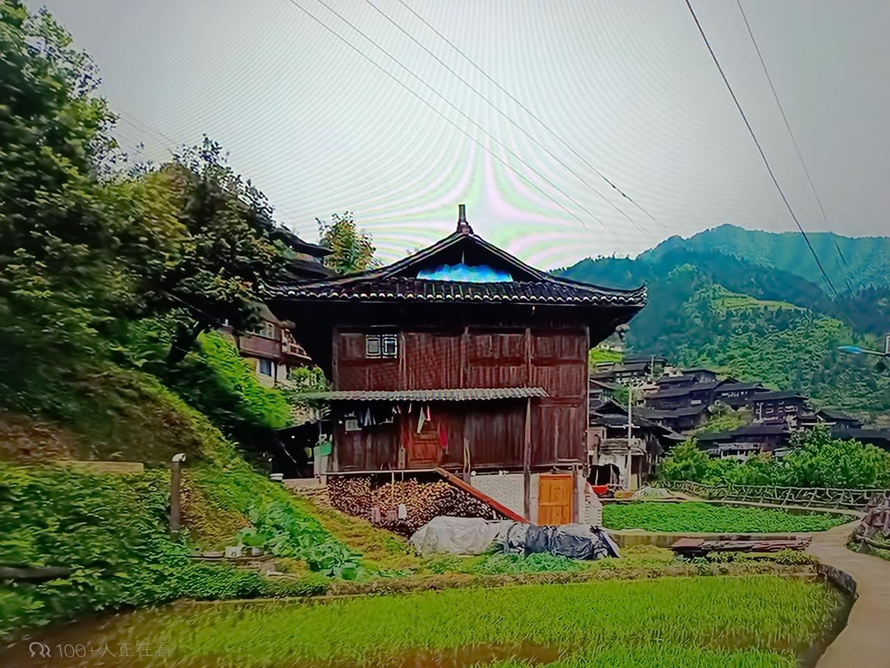 （原创）养狗是宠物经济，还是宠物鸦片？

有人说，养狗是宠物经济，原因是能够带动