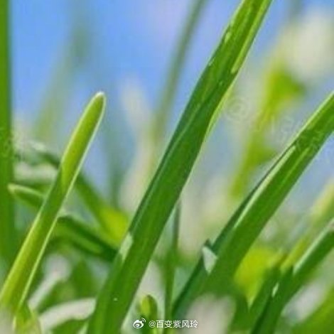 不必行色匆匆，不必光芒四射，生活不是赶路，而是感受路，每一个平凡的日子都值得珍惜