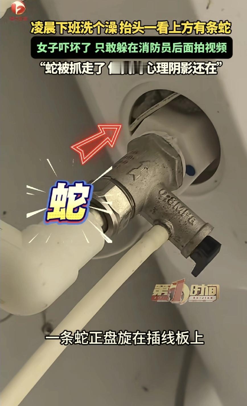 吓坏了！安徽，女子凌晨回到家后准备洗澡睡觉，谁知刚进浴室打开灯，就发现插线板上有