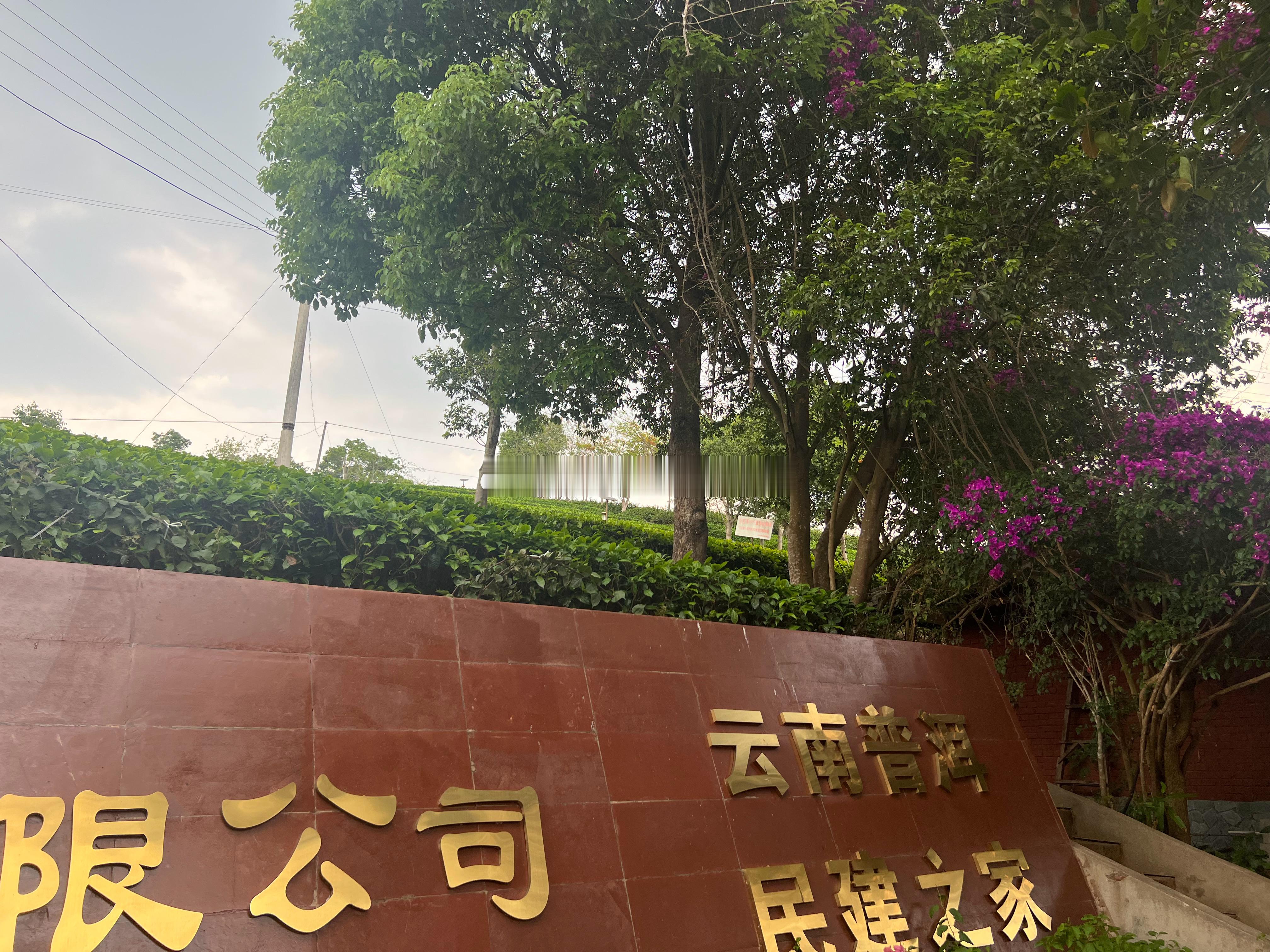 请老师给我们上茶艺课…  ​​​