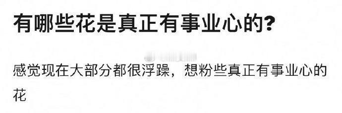 哪些花是真正有事业心的？ ​​​