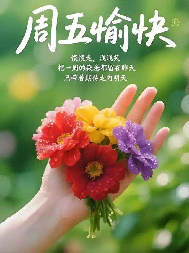 🌼2026.10.16日秋日周五早安，愿你吉顺相伴，喜乐常安🌼