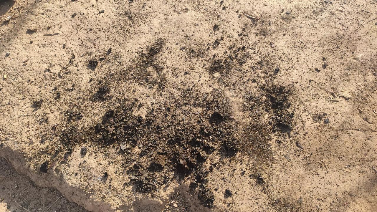 这是什么，有认识的吗