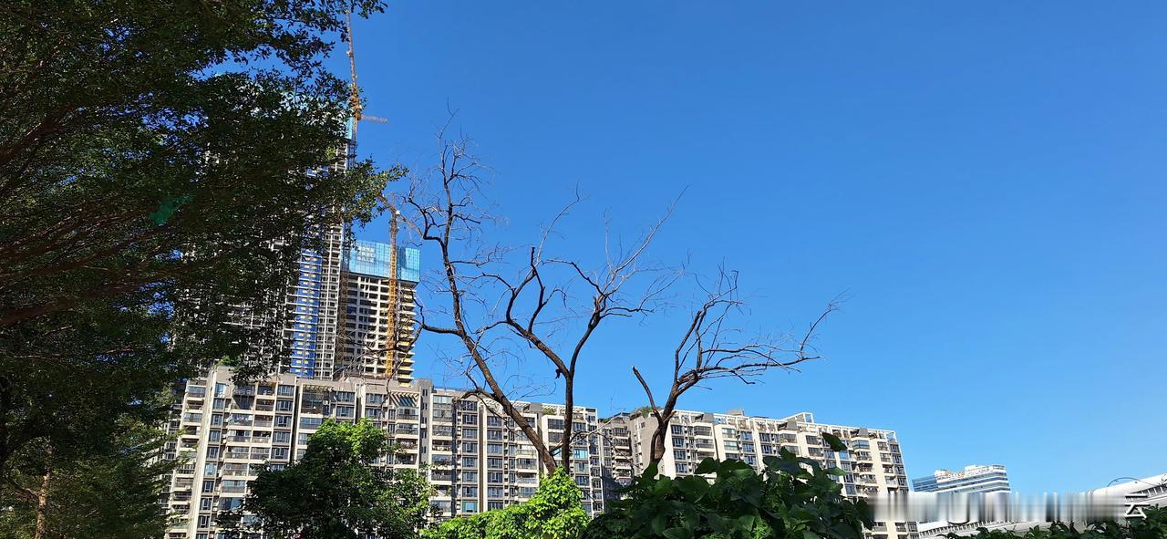 深圳的天空