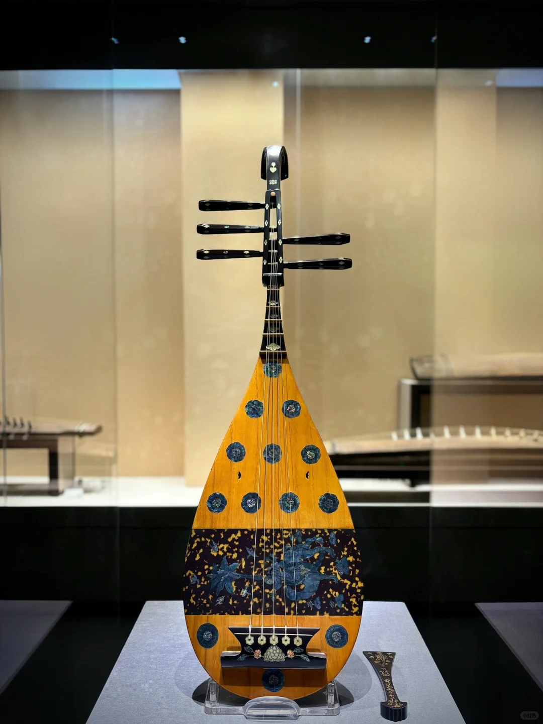 千年^民族乐器展🎶city不city呀❓