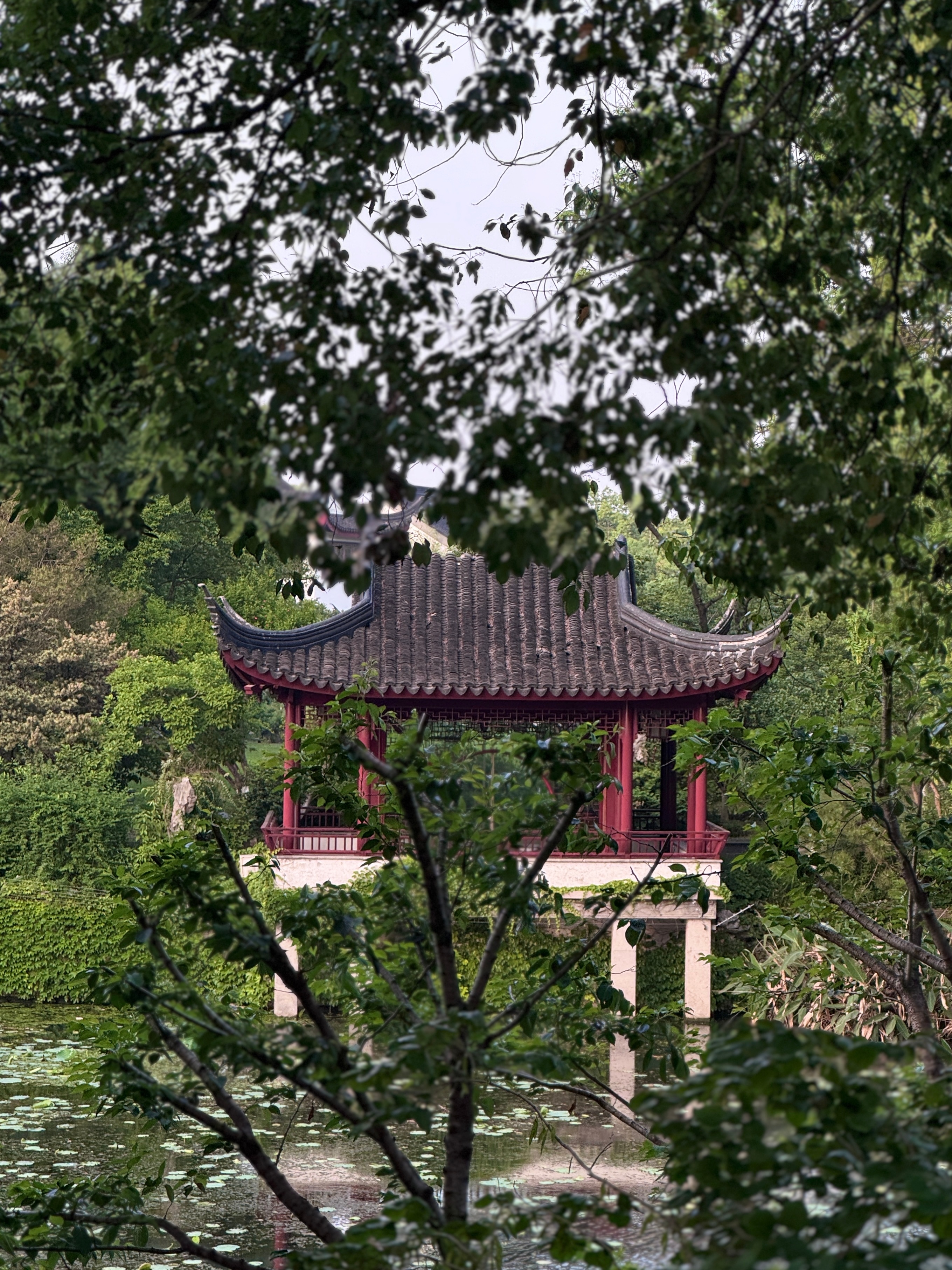 等在婚纱城买完中山装，到达虎丘风景已经五点出头，距离闭园不到一个小时。没夸张，我