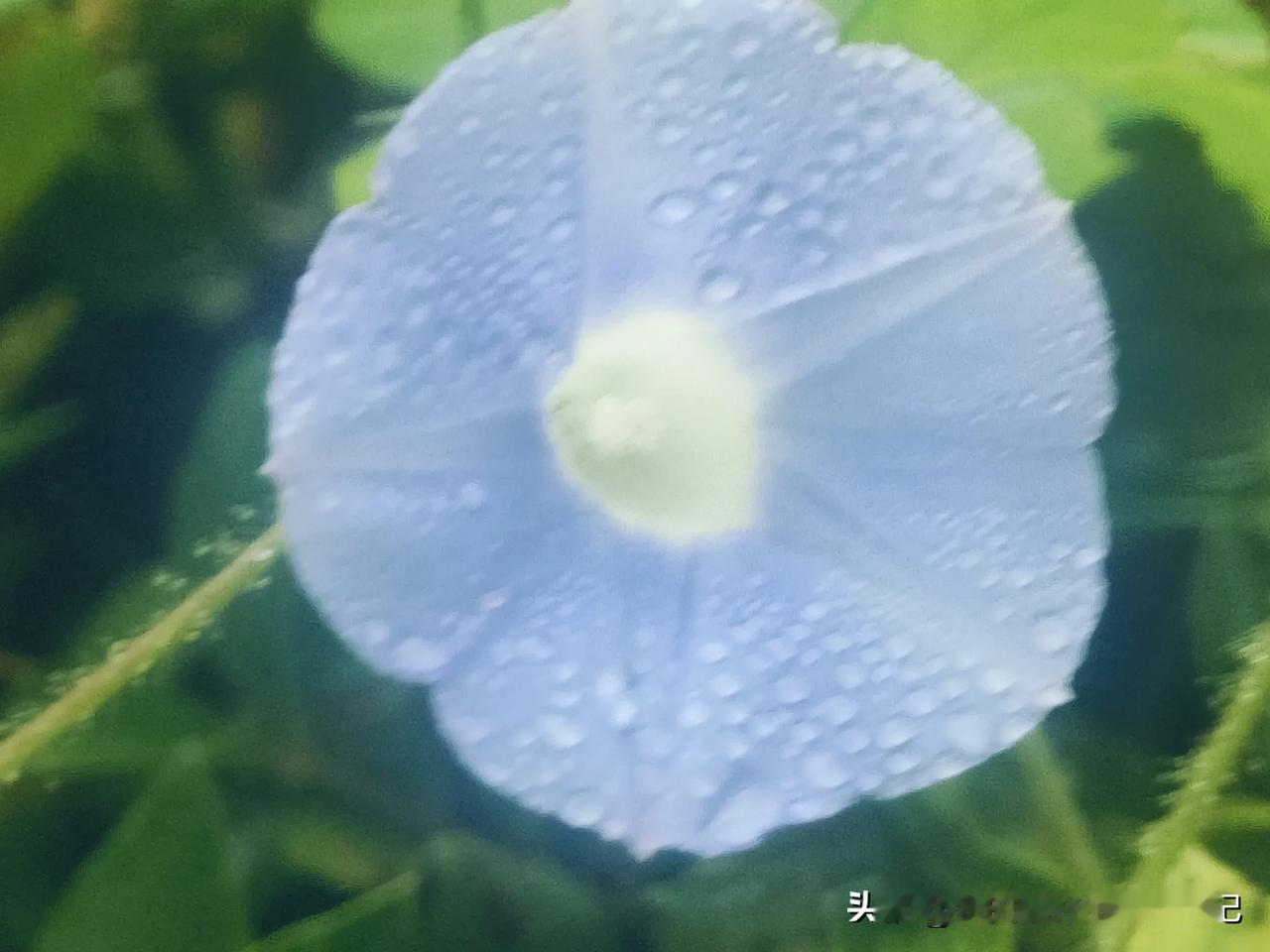 2024年最后三个月日常生活外购物计划
1，扫地机器人，预算3000左右
2，自