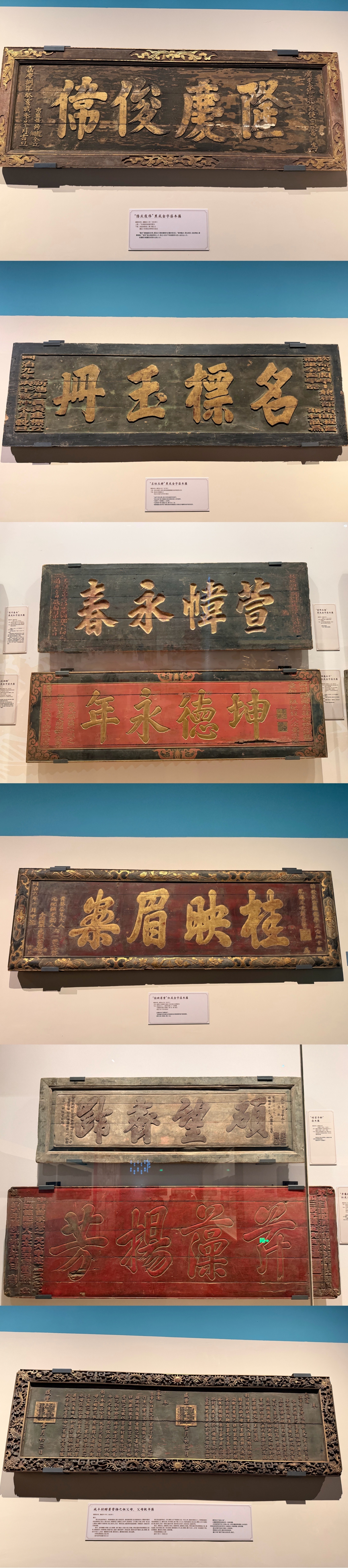 谁懂赶飞机前没地方去我又来了 辽博我真的好爱你😘临展和特展又硬控两小时 确实太