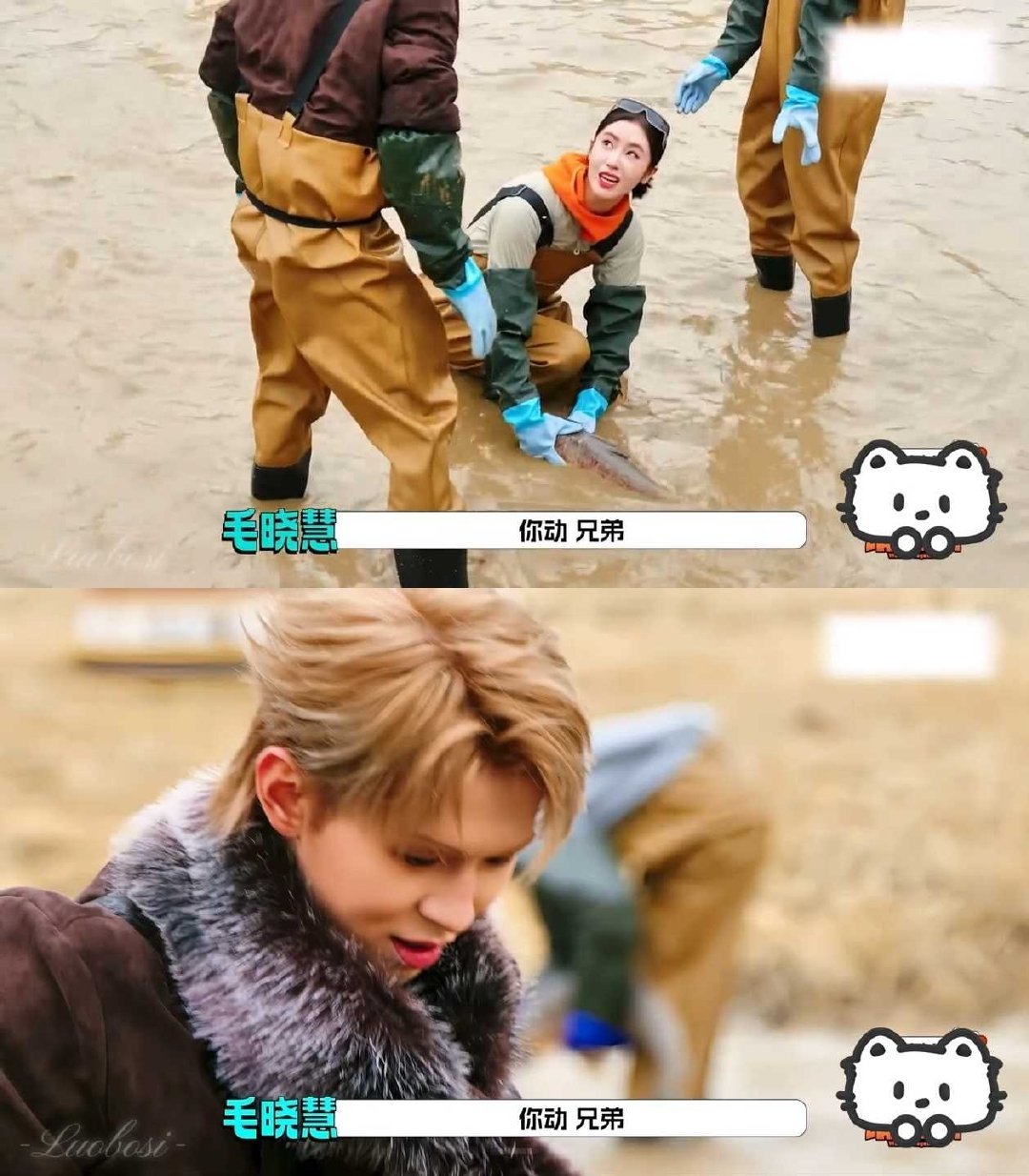 毛晓慧何浩楠说兄弟谁是兄弟毛晓慧何浩楠这段可加入中文考试素材了 毛晓慧何浩楠这段