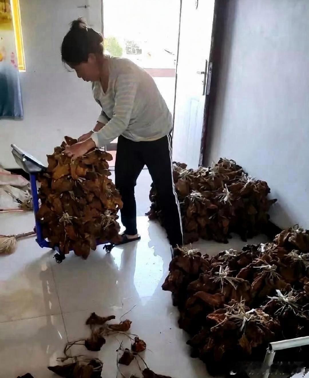 这才是真正的有钱人家，羡慕哭了。 ​​​