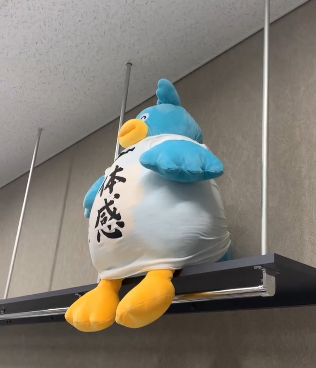 平岡海月「それぞれが、この曲、この場面でこう観られたい、これを伝えたい私はこうな