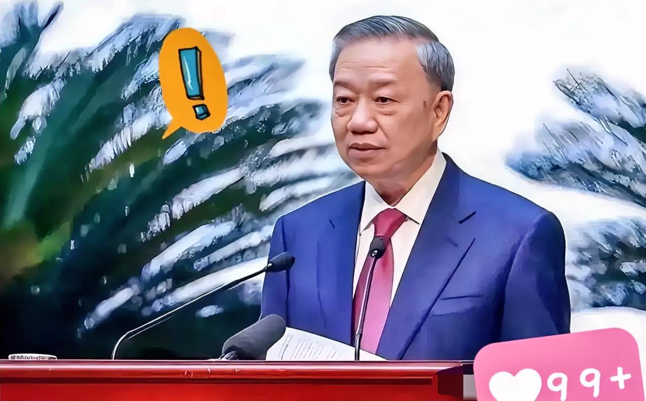 越南传来新消息！
2026年3月19日，越南正式向阿尔及利亚求助，希望确保石油和