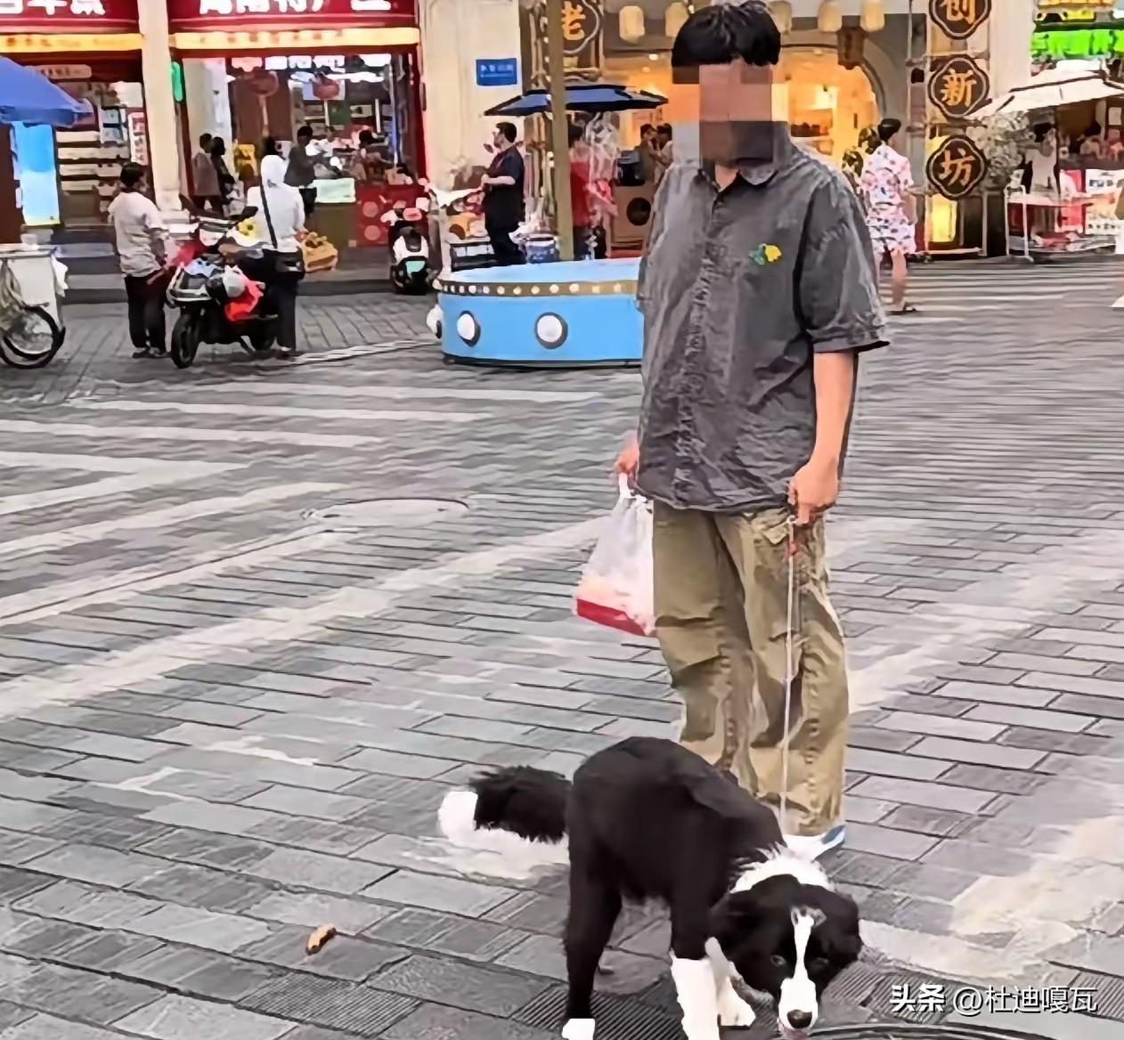 不是说埋汰这些养狗的，
有几个人能做到平时出门遛狗，会随身带纸捡狗屎？
也不能肯