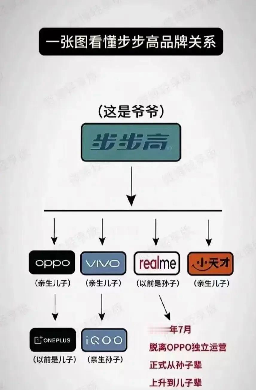 当年风靡全国的步步高品牌并没有消失，他衍生出来的品牌依然走红全国，甚至全球。[狗