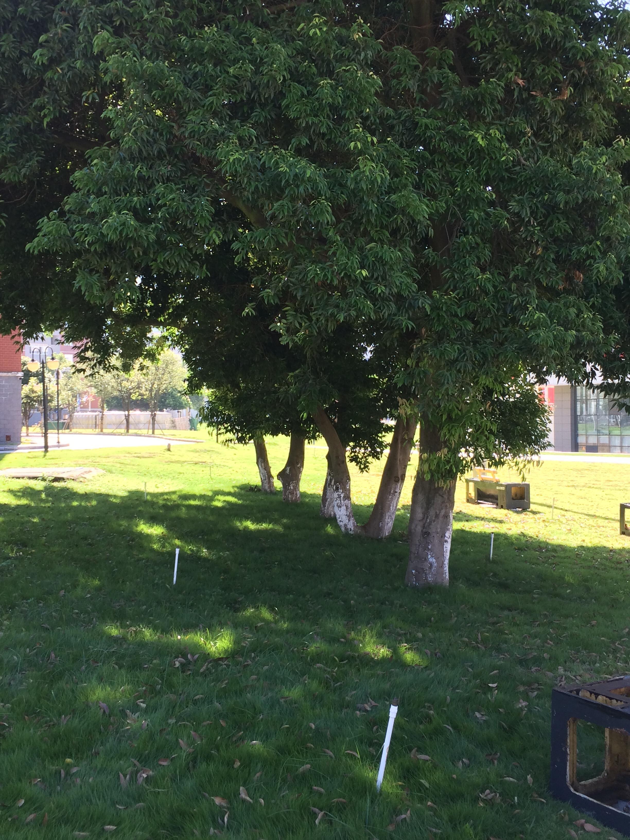 ˙ᵕ˙☁ ✩‧ ₊ 🍪☕请你参与我的秋天 ​​​