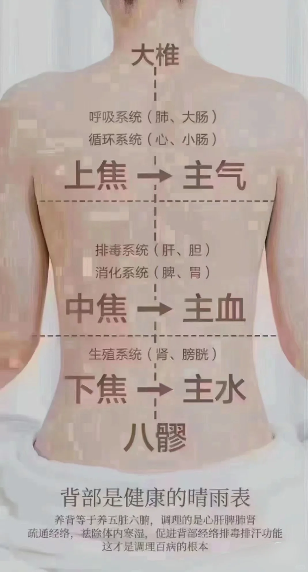 养成好体态～