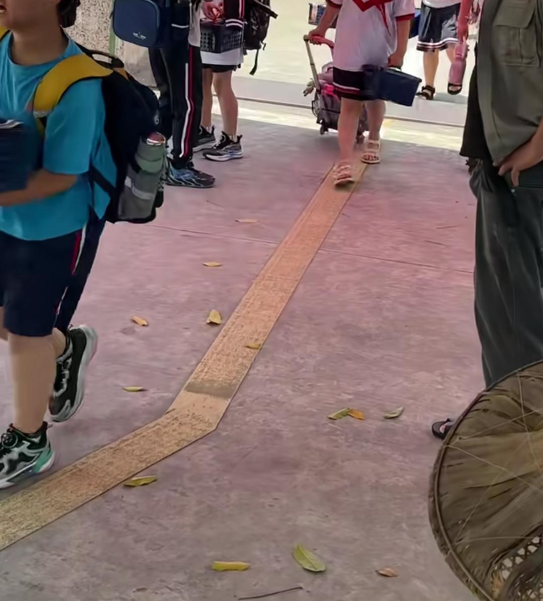 不是吧，杨梅卖给小学生啦？
看到一条视频，每个放学的小朋友
人手一篮子杨梅
沉甸