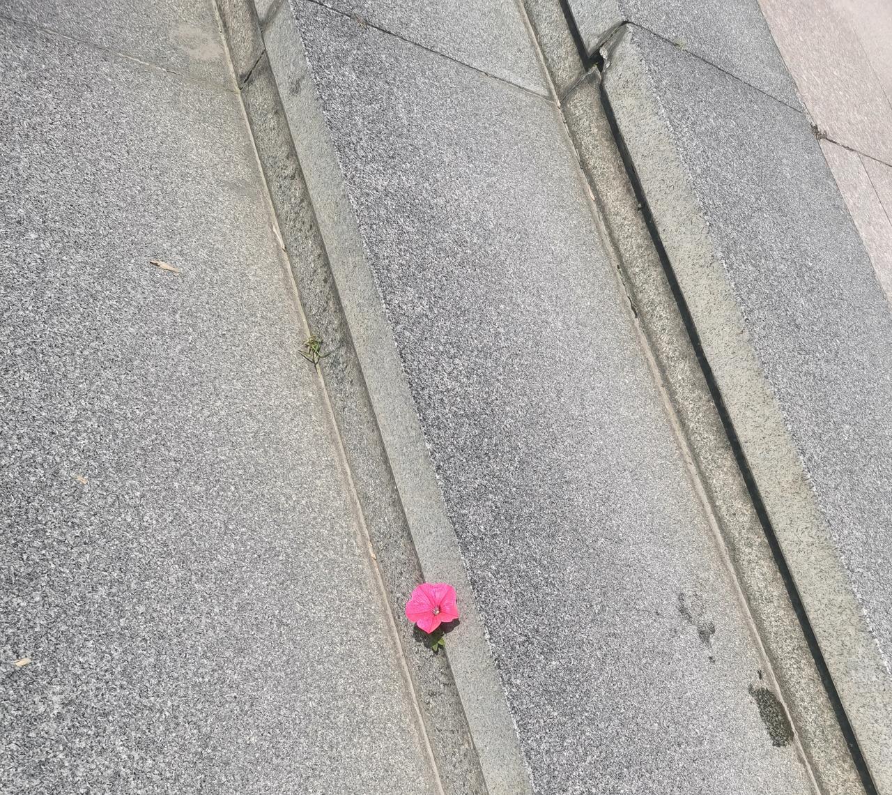 真正的强者心态不是无畏，
不是勇敢，不是对抗，
而是永远不向任何人证明自己