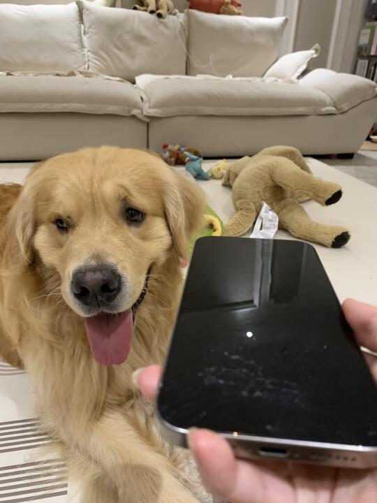 一辆黄色的面包车撞碎了我的手机还拒不赔偿