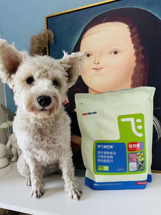 小白狗泪痕亲妈狗粮！
