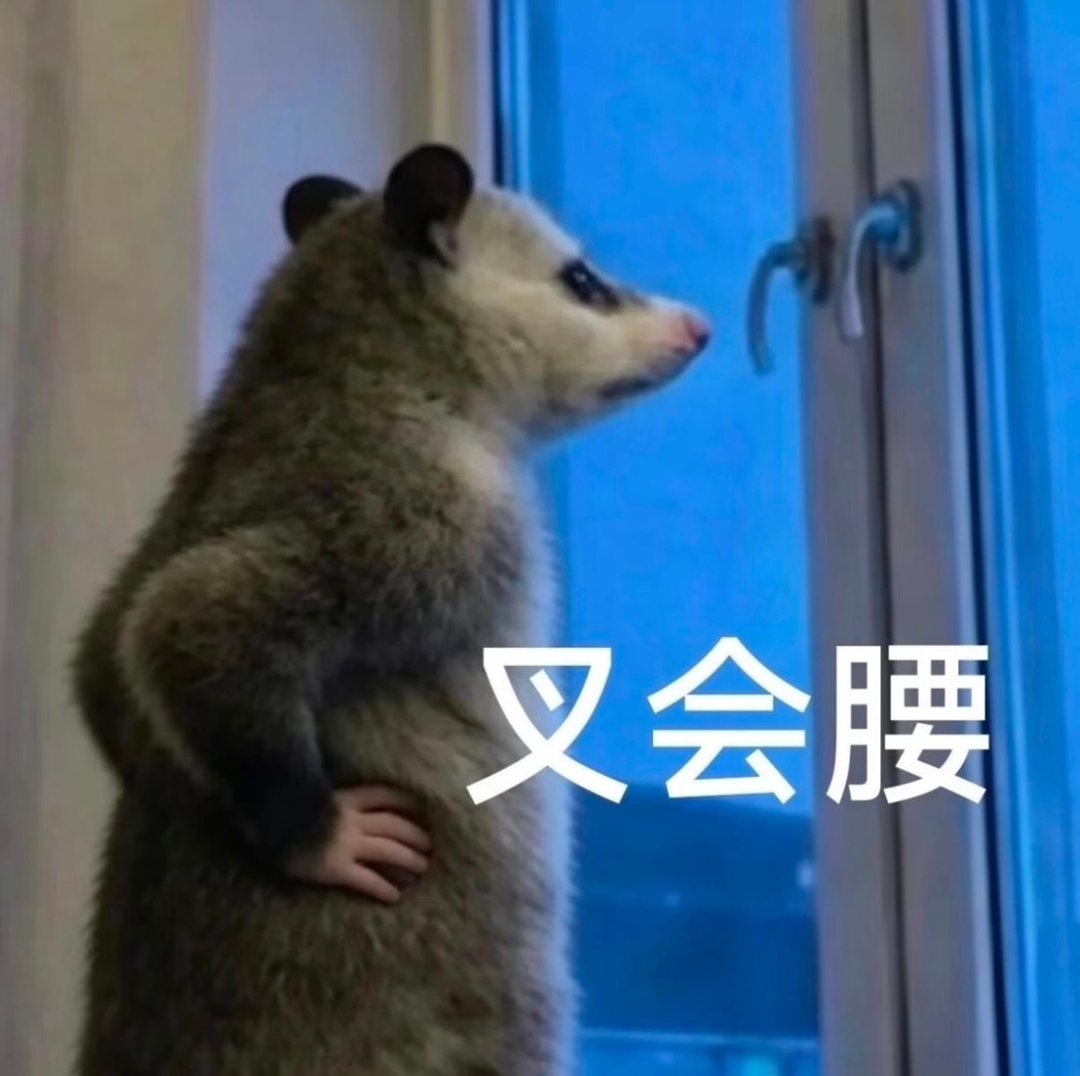 除了死工资外还能做什么副业其实我也想再做做副业因为做自媒体以后最大的感受就是，也