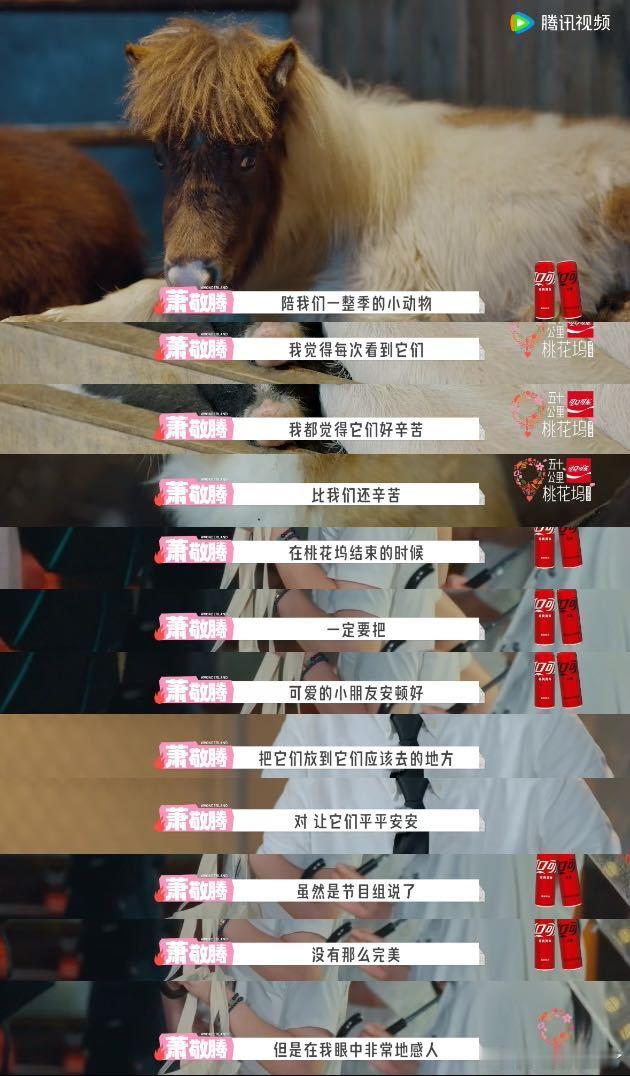 桃花坞隐藏共情大师萧敬腾 真正顶级的共情力！从不只沉溺自己的情绪，反而体谅幕后工