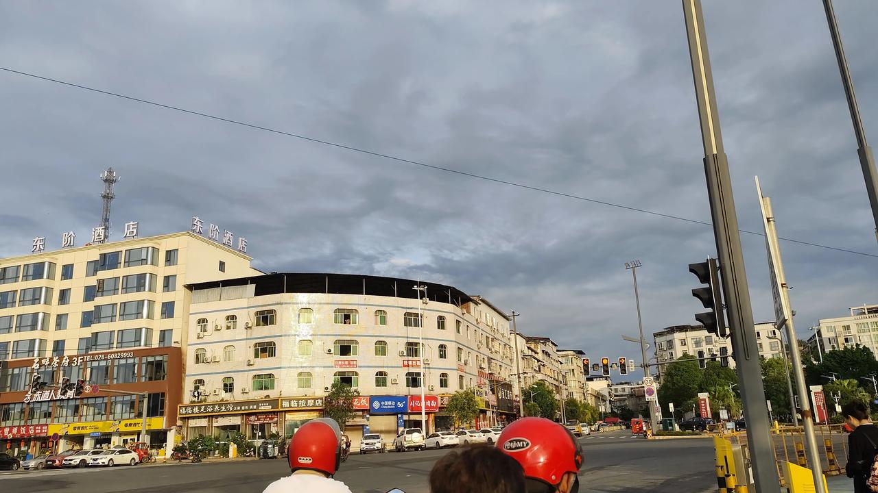 记录我的2026路上的风景今日赏花，随手拍
