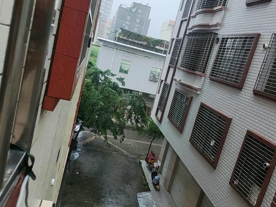 我超爱随手拍街道美景！就说深圳深业上城，那真是一步一景。暮色降临时，太平金融双子
