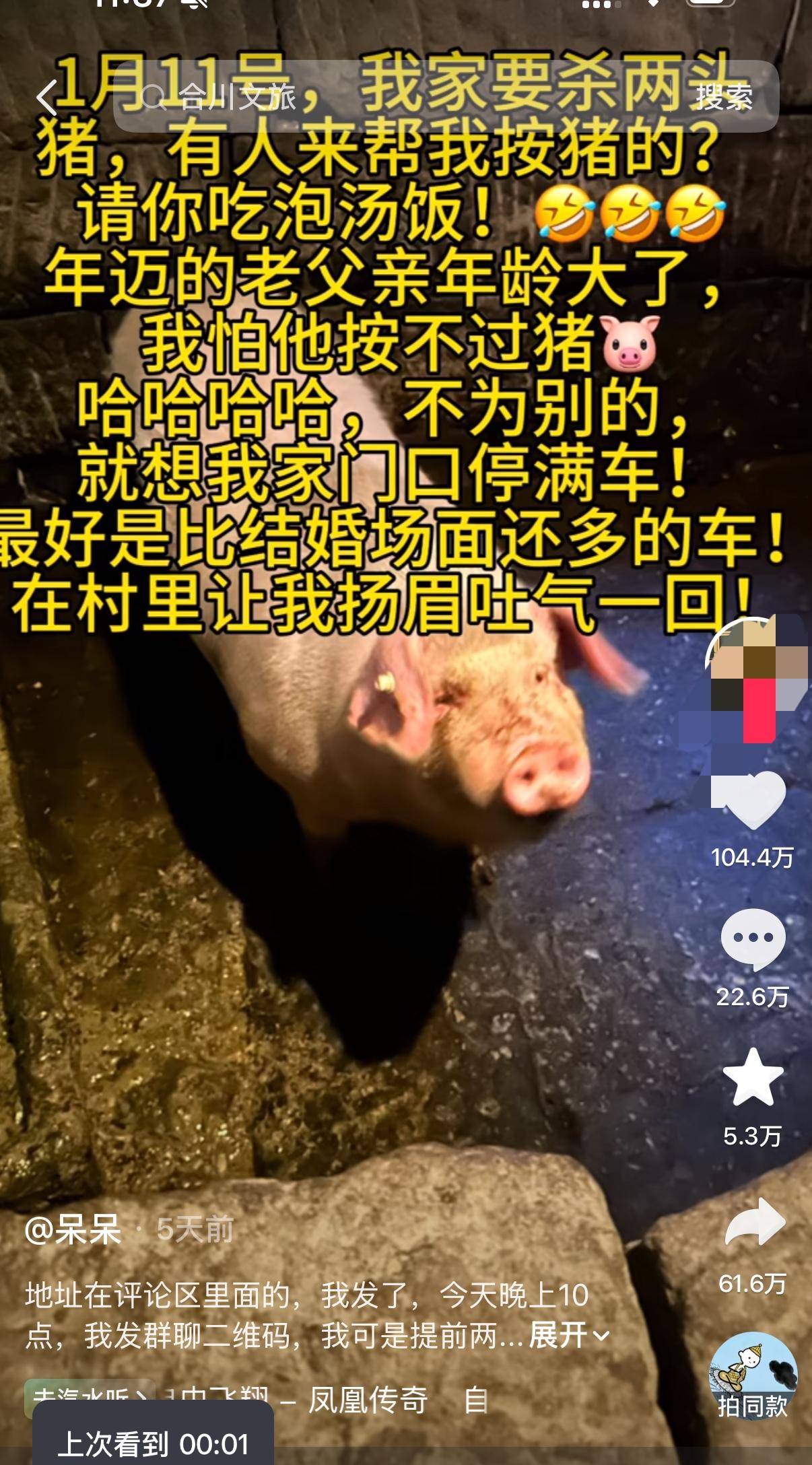 一个女娃喊人帮忙杀猪，结果半个互联网的老家都被她喊醒了。

呆呆拍的那个视频，它