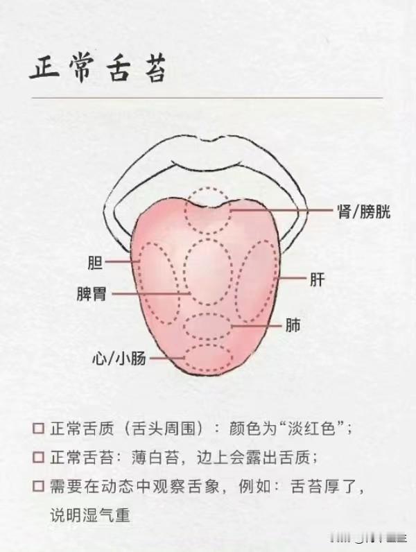 五脏好不好，看舌头就知道了
舌头出现这样的征象说明你的身体可能出现问题了，今天教