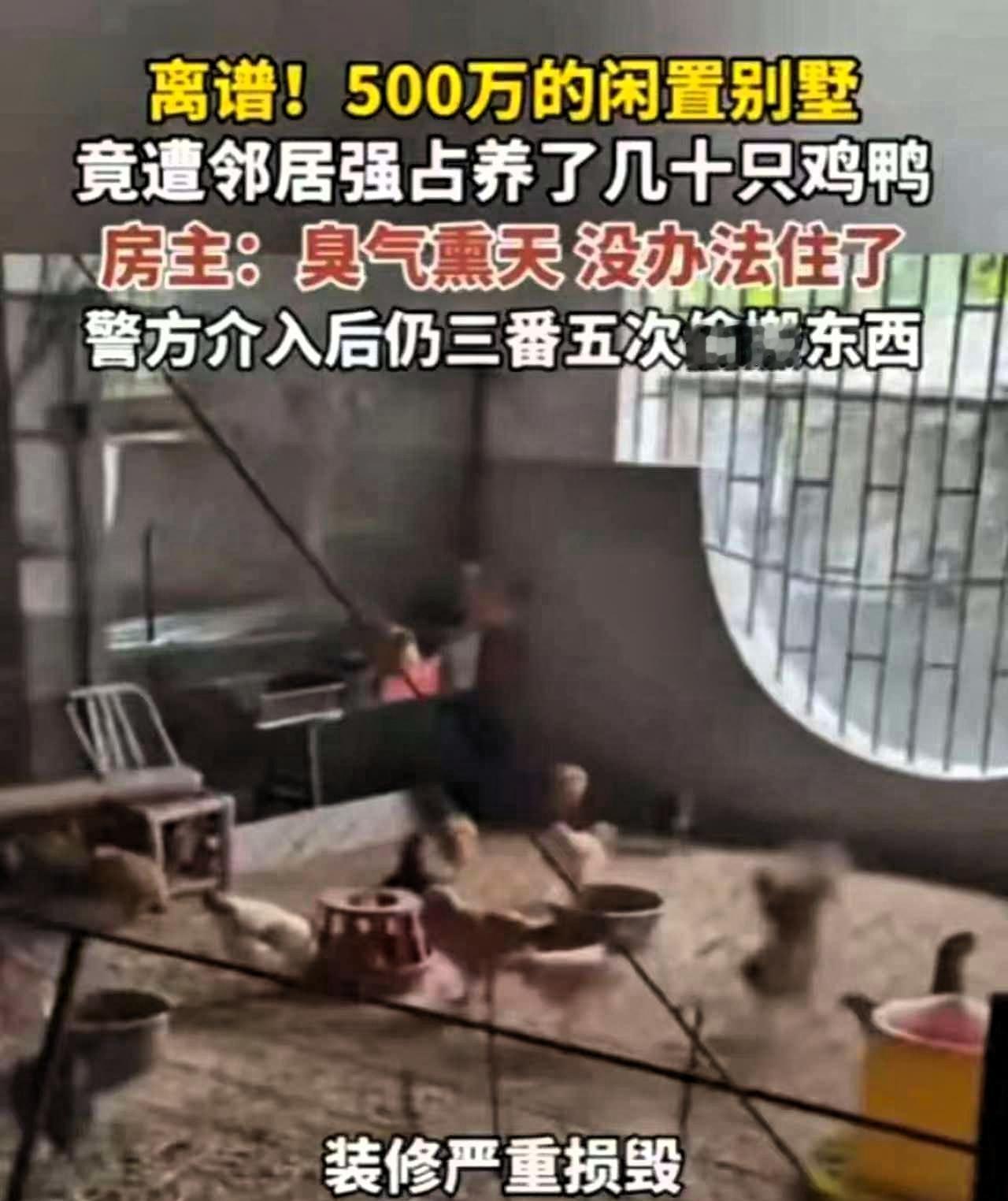 难以置信！”福建一男子回老家祭祖，意外发现闲置多年的别墅里居然有动静
推开门的瞬