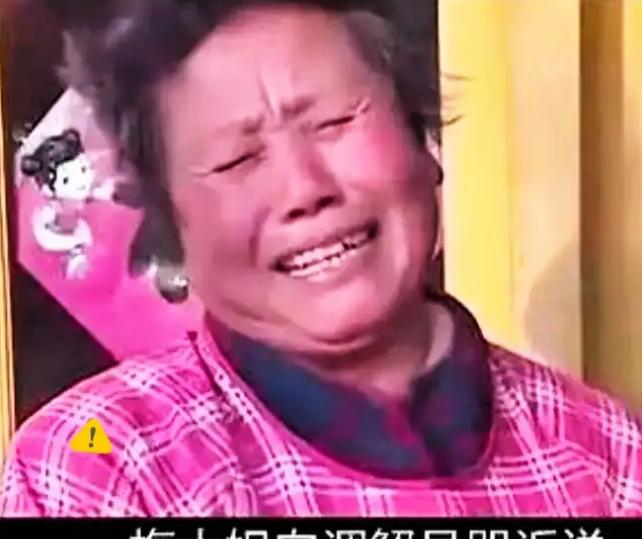 一把杀猪刀，一句"打死我偿命"，还有儿媳怀里那个被推倒在地哭喊的孩子，这一幕在张