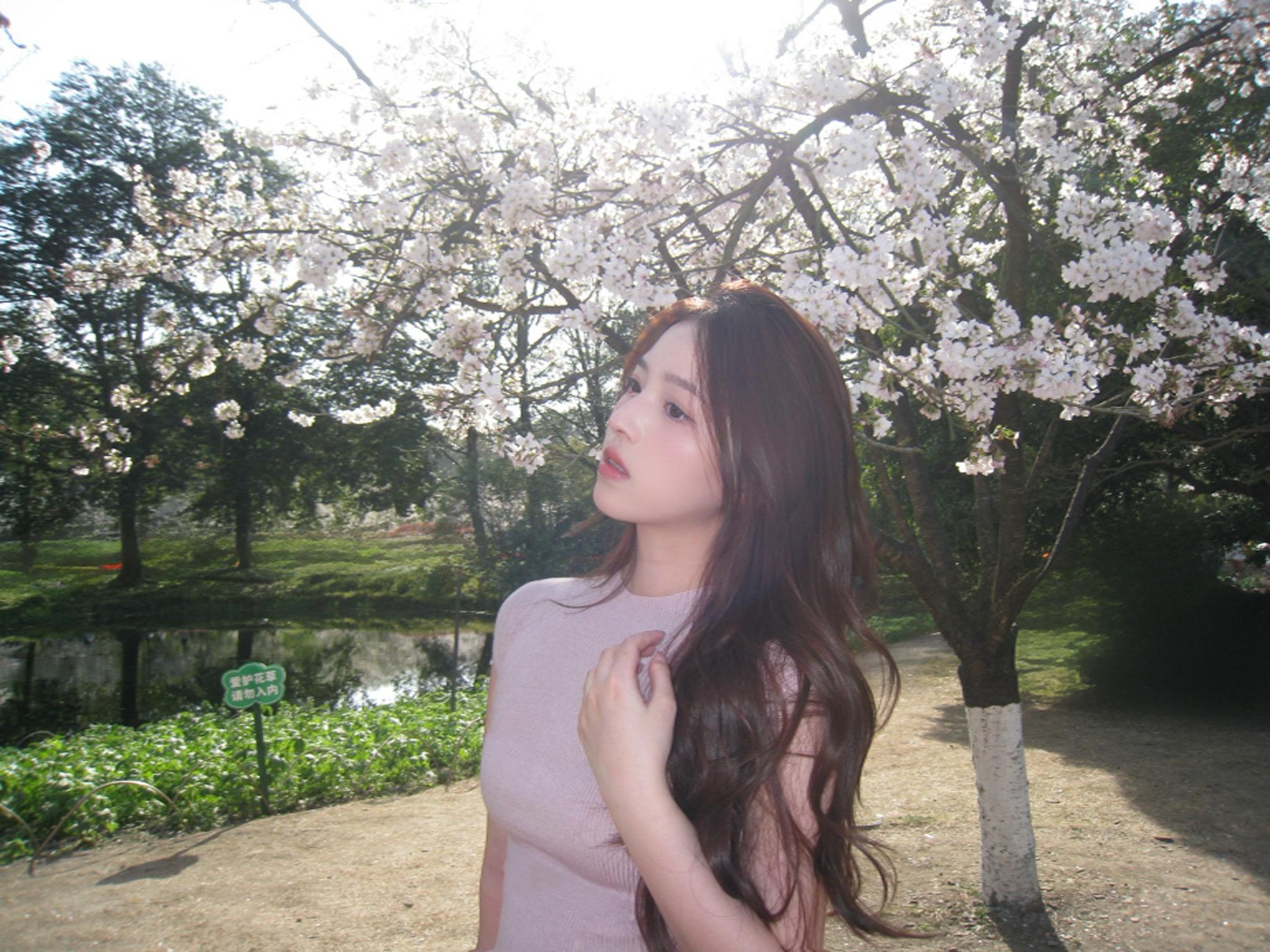 🌸。
