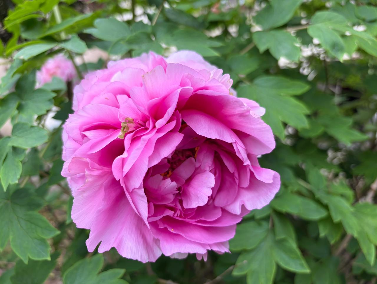 52岁的我，
现在最好的解压方式，
不再是找人倾诉，
也不是吃喝玩乐，
而是独处