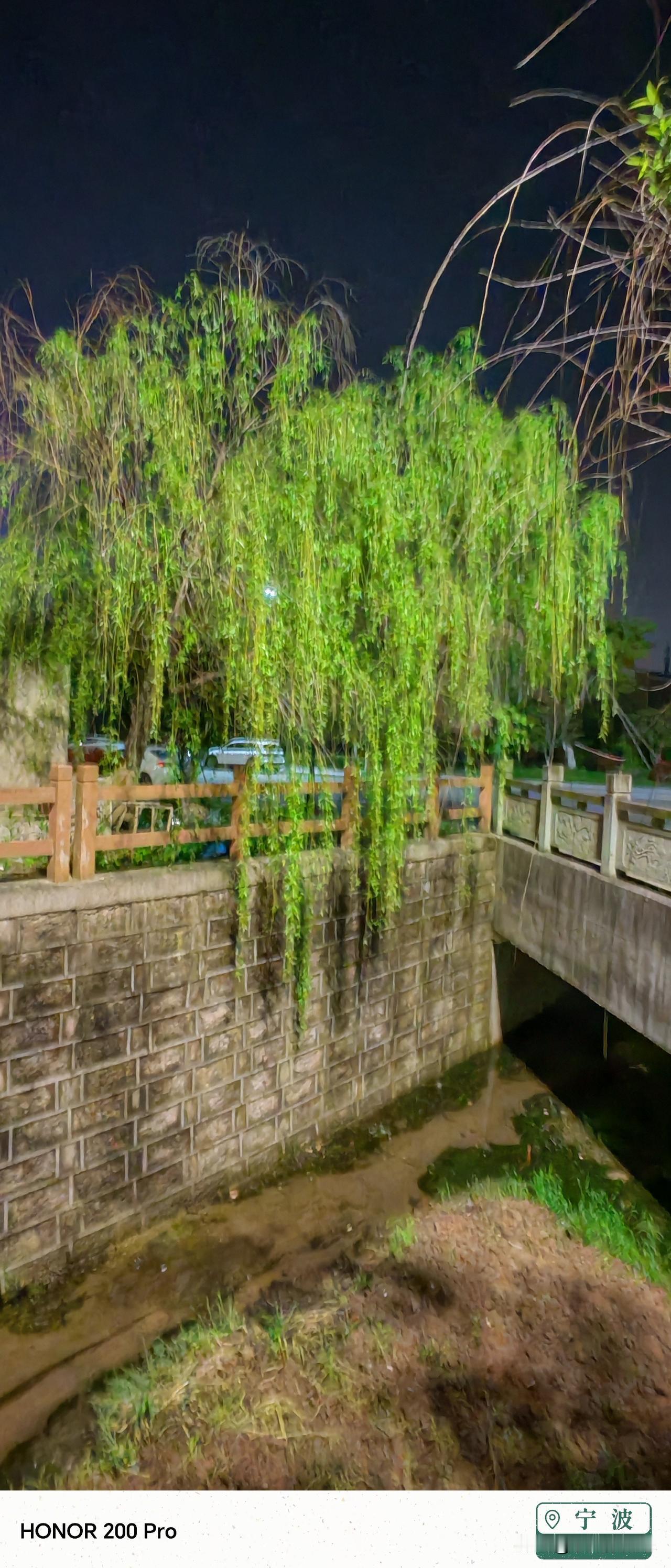 今日之杨柳的柳条，风一吹婀娜多姿，甚是好看