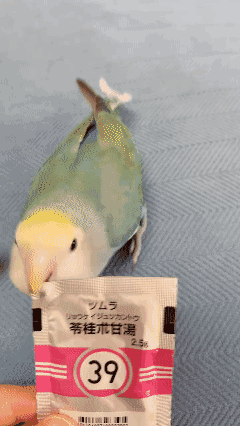 想不想养一只？[泣不成声]