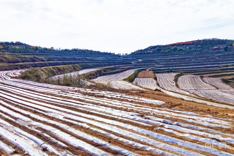 以下是2025年12月2日国内外部分重要新闻：
 
国内
 
1. 2025企业