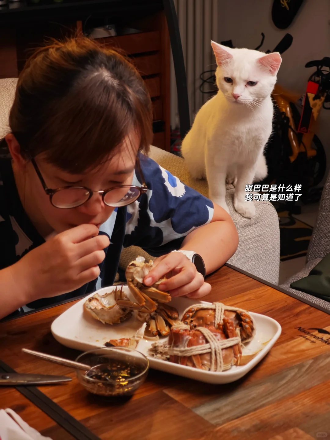 第一次知道猫也爱吃螃蟹🦀那就………