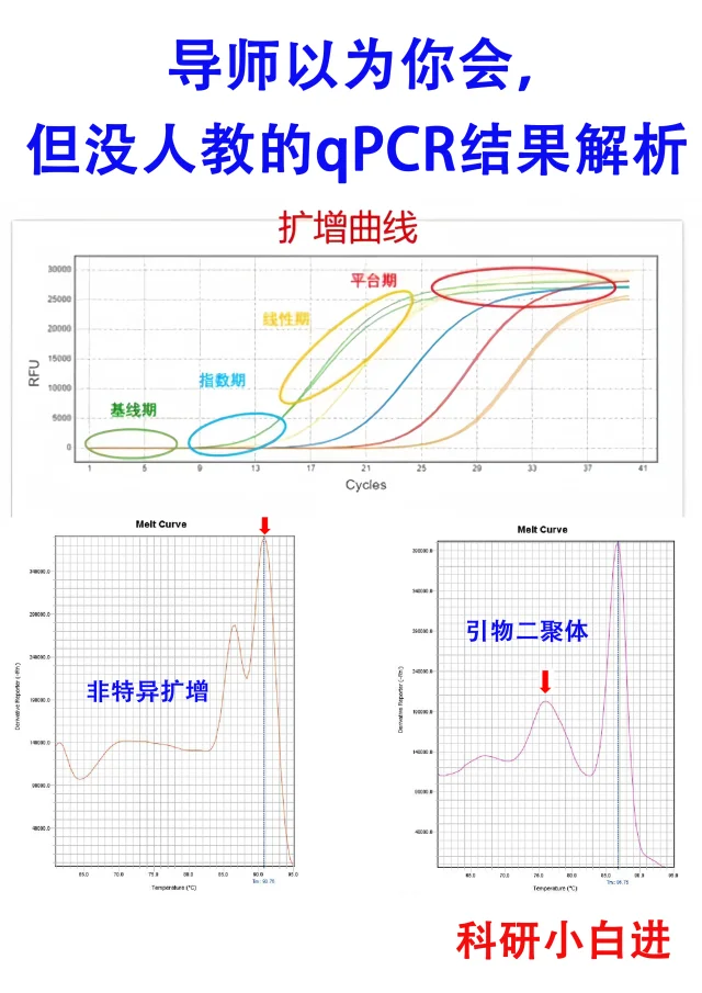 常见的qPCR结果，你真的会分析了吗？