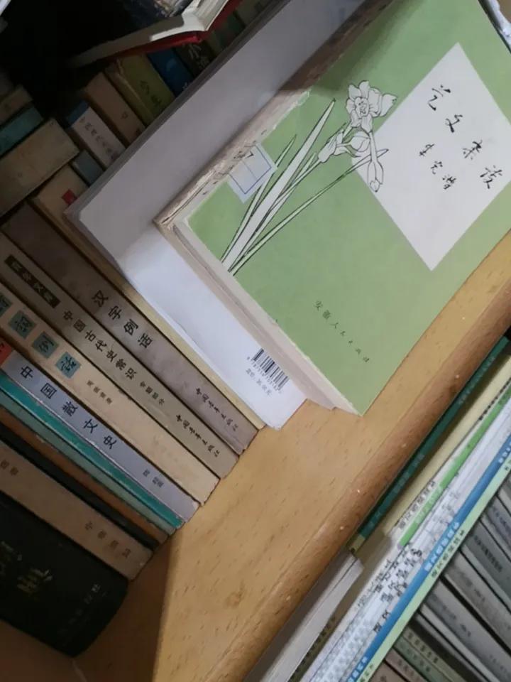 还读书吗
似乎
我不读
旧书其实好读
翻开书页已无油墨芳香
相见如故的感觉
永远