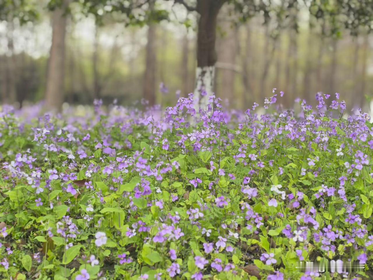 大家说说，离婚之后，到底是男方过得惨，还是女方过得惨？

我还是来说说我同学吧！
