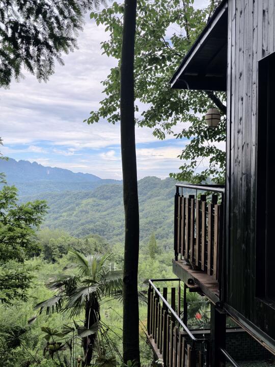 live直出丨一场雨，洗出了青城山的绿