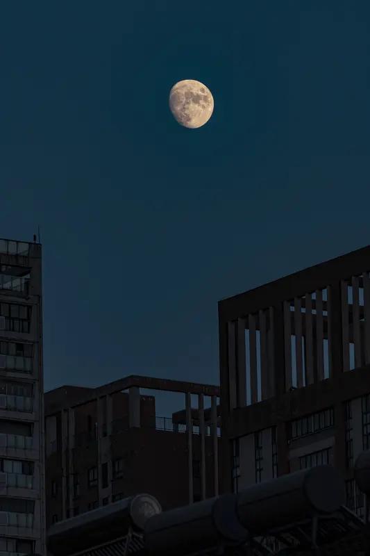 “月色随荷动，灵气满池塘”，这般景致实在美得令人心醉！不妨闭上眼睛想象，夜幕悄然