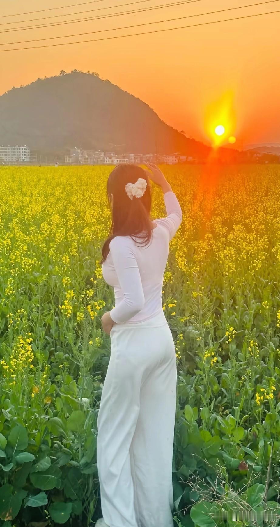 夕阳下，女孩站在花田里，好美！