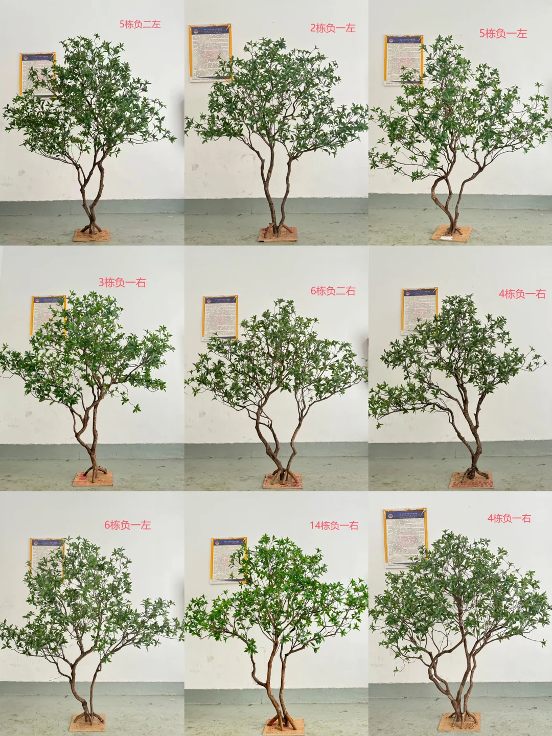 仿真树合集来了